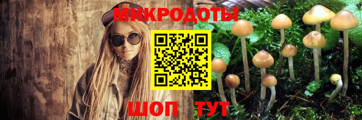 Новокузнецк  Псилоцибиновые грибы MAGIC MUSHROOMS  Вход с VPN 